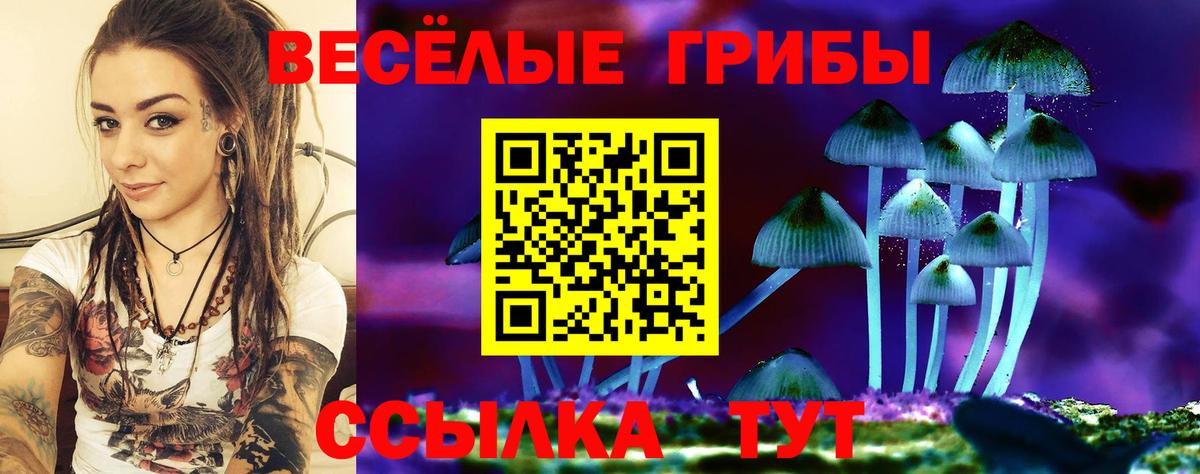 что такое наркотик  Вход с VPN  Урюпинск  Псилоцибиновые грибы ЛСД 